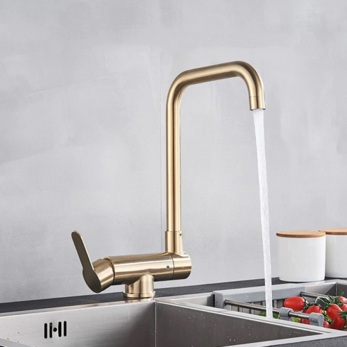 LAMENA10